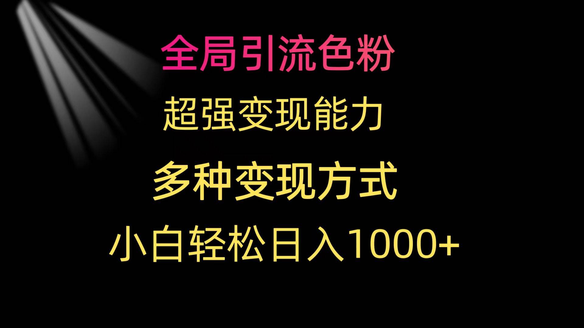 全局引流色粉 超强变现能力 多种变现方式 小白轻松日入1000+-匹左网