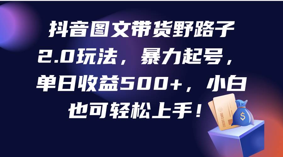 抖音图文带货野路子2.0玩法，暴力起号，单日收益500+，小白也可轻松上手！-匹左网