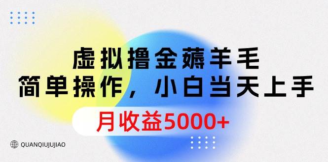 虚拟撸金薅羊毛，简单操作，小白当天上手，月收益5000+-匹左网