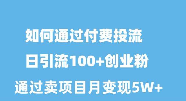 如何通过付费投流日引流100+创业粉月变现5W+-匹左网