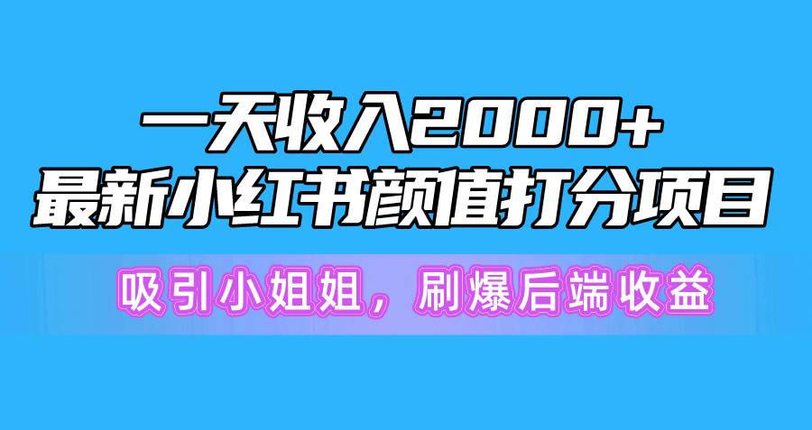 一天收入2000+，最新小红书颜值打分项目，吸引小姐姐，刷爆后端收益-匹左网