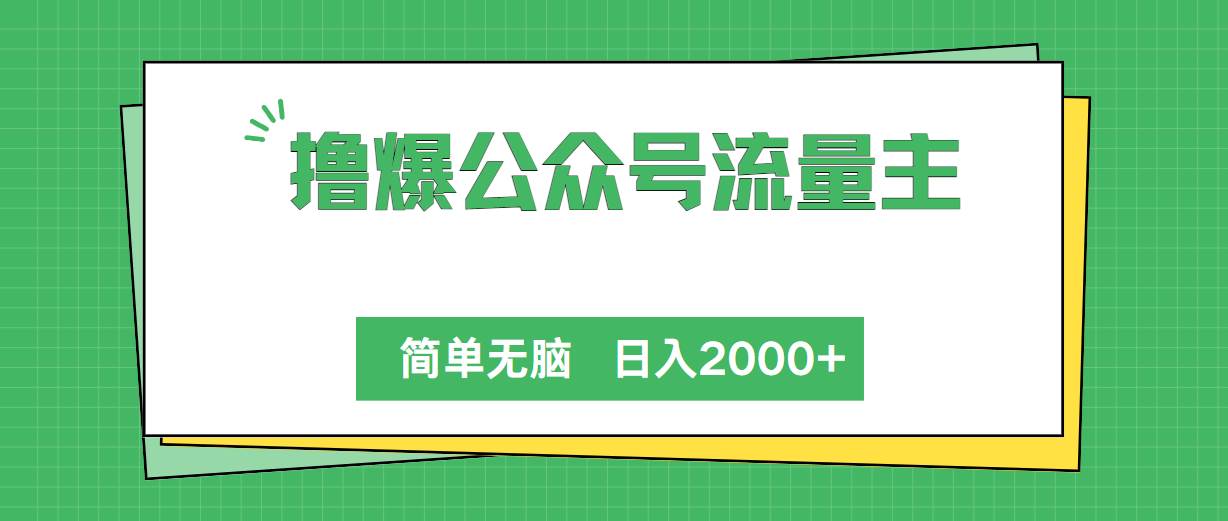 撸爆公众号流量主，简单无脑，单日变现2000+-匹左网