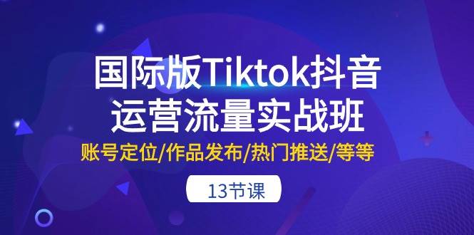 国际版Tiktok抖音运营流量实战班：账号定位/作品发布/热门推送/等等-13节-匹左网