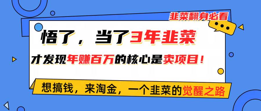 悟了，当了3年韭菜，才发现网赚圈年赚100万的核心是卖项目，含泪分享！-匹左网