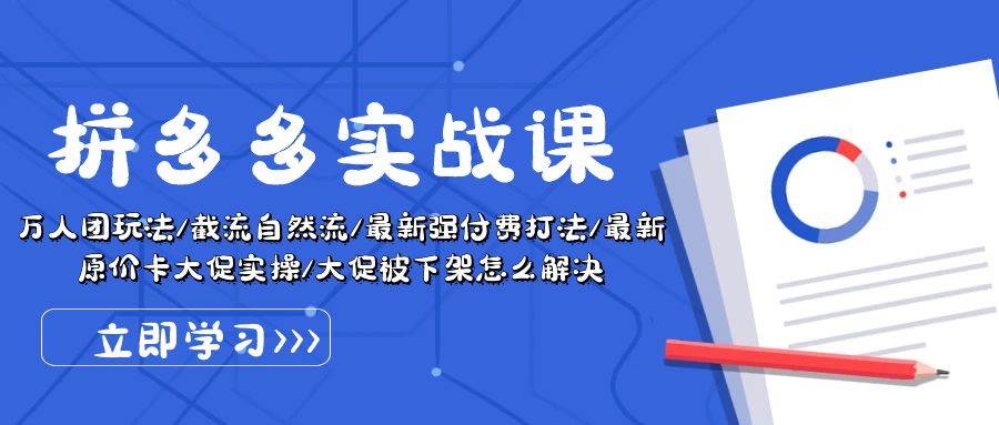 拼多多·实战课：万人团玩法/截流自然流/最新强付费打法/最新原价卡大促..-匹左网