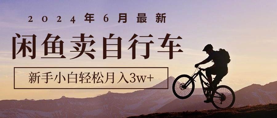 2024年6月最新闲鱼卖自行车，新手小白轻松月入3w+项目-匹左网