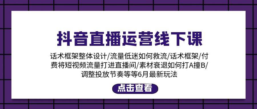 抖音直播运营线下课：话术框架/付费流量直播间/素材A撞B/等6月新玩法-匹左网