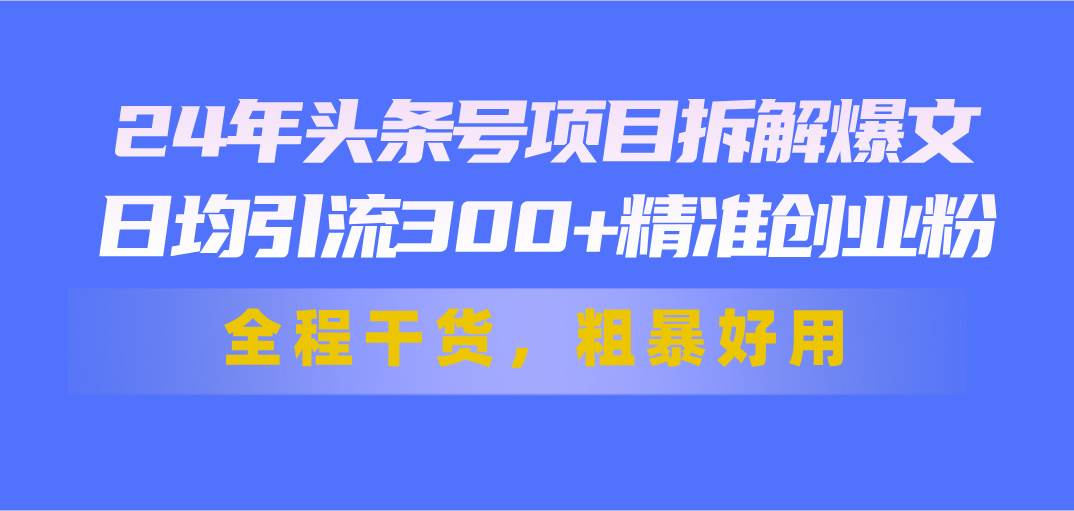 24年头条号项目拆解爆文，日均引流300+精准创业粉，全程干货，粗暴好用-匹左网