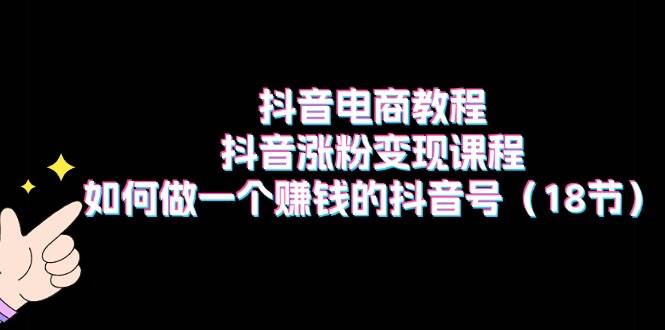 抖音电商教程：抖音涨粉变现课程：如何做一个赚钱的抖音号（18节）-匹左网