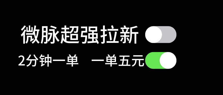 微脉超强拉新， 两分钟1单， 一单利润5块，适合小白-匹左网