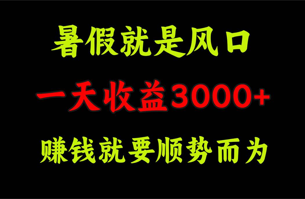 一天收益3000+ 赚钱就是顺势而为，暑假就是风口-匹左网