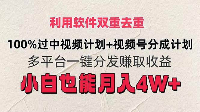 100%过中视频+视频号分成计划 小白也可以月入4W+-匹左网