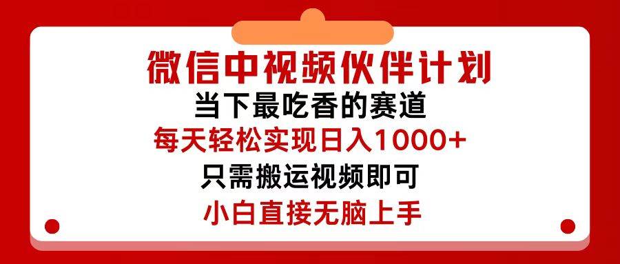 中视频伙伴赚钱项目，简单搬运轻松日入500+-匹左网